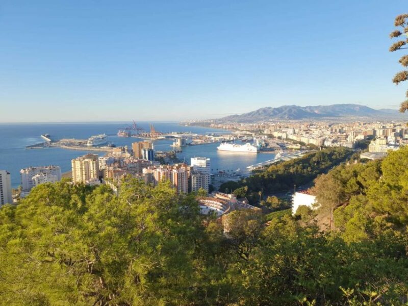 Malaga: Guided E-Bike Tour - Comparing Similar Malaga Bike Tours