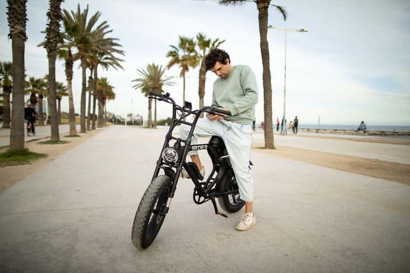 Malaga: Guided E-Fatbike Tour with Panoramic Views - Physical Requirements and Packing Tips