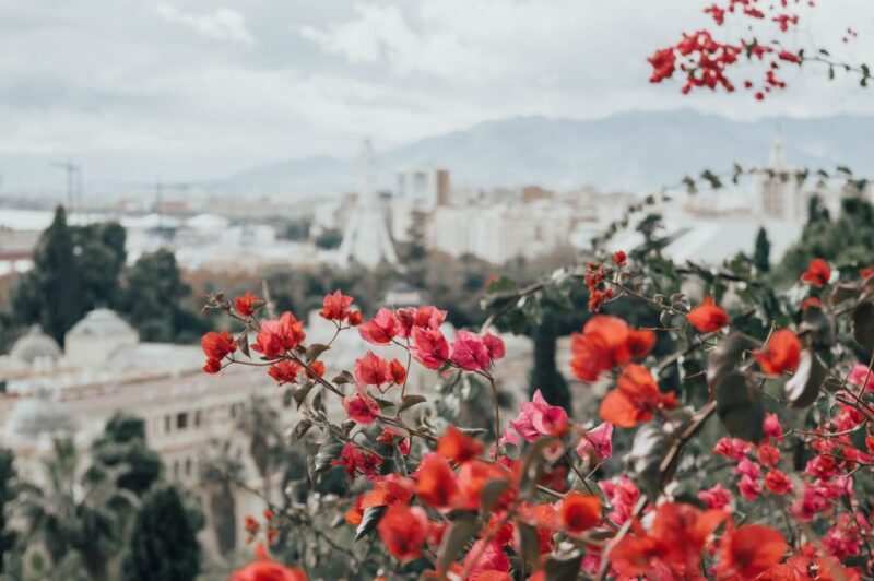 Málaga: Highlights, Old Town & Viewpoint Walking Tour - Why This Tour Offers Great Value for Money