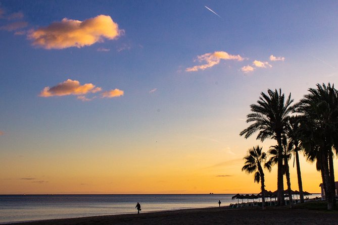Malaga Highlights, Old Town & Viewpoints Walking Tour - The Renovated Malaga Port and Its Significance