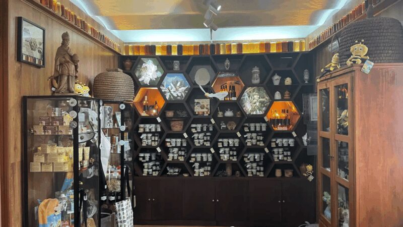 Malaga: Honey Museum Entry Ticket - The Unique Exhibits and Interactive Features Inside the Museum