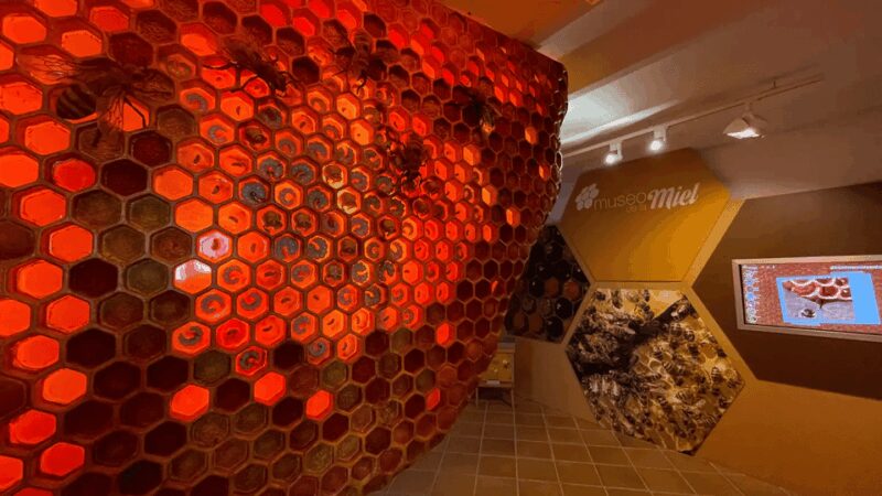 Malaga: Honey Museum Entry Ticket - Visiting the Museum with Family and Practical Considerations