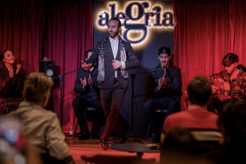 Málaga: Live Flamenco Show at Flamenco Alegría - Key Points
