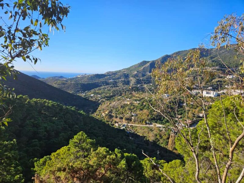 Málaga: Marbella Mountainbike Tour - The Value of a Guided Mountain Bike Adventure Near Marbella