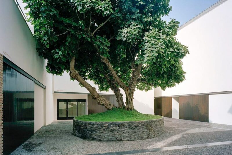 Málaga: Museo Picasso Málaga Entry Ticket - The Convenience of Pre-Booked Tickets and Audio Guides
