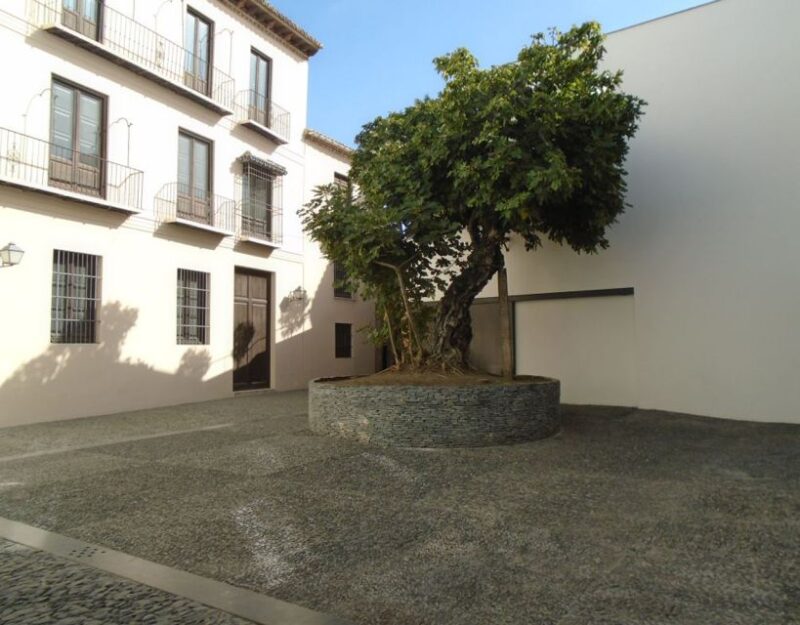 Malaga: Picasso Museum Guided Tour with Skip-the-Line Ticket - Practical Details: Meeting Point and Group Dynamics