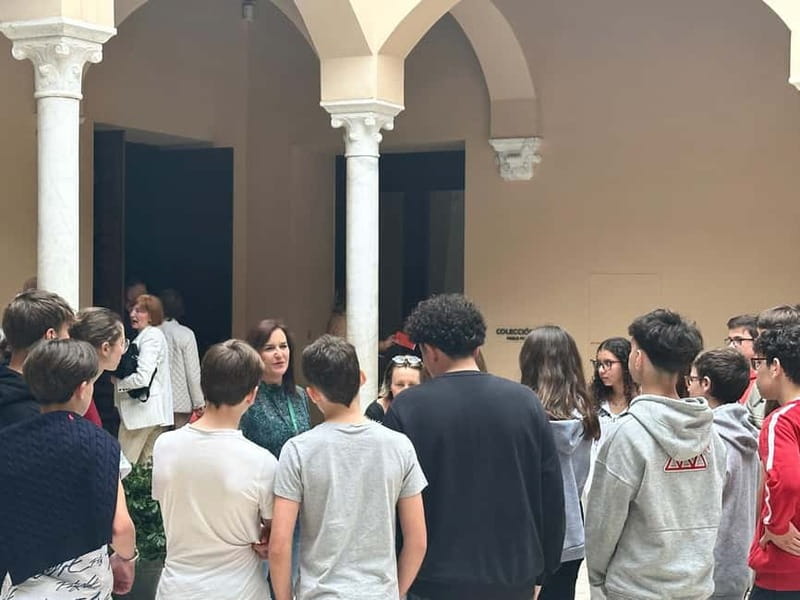 Malaga: Picasso Museum Tour with Expert Art Tour Guide for small groups - The Museum: Picasso’s Art in a Historic Setting