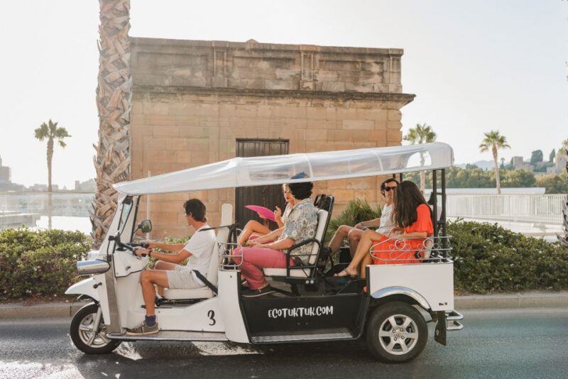 Malaga: Private City Tour by Eco Tuk Tuk - Practical Details: Pacing, Comfort, and Accessibility