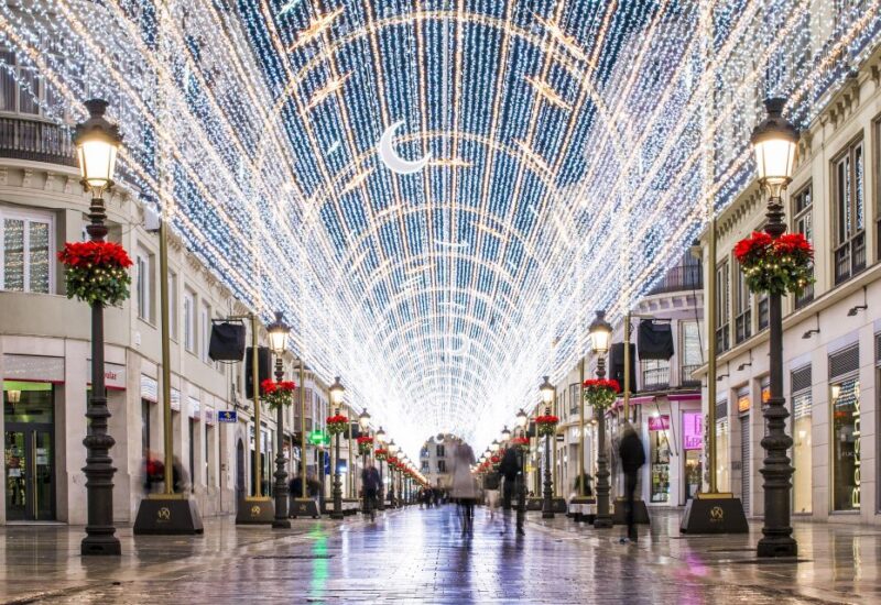 Malaga: Private Plaza de la Merced, City Center, & Port Tour - The Charm of Calle Larios and Paseo de los Curas