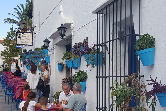 Malaga private Shore Excursion: Malaga Highlights & Mijas White Washed Village - Pickup and Location Details in Malaga