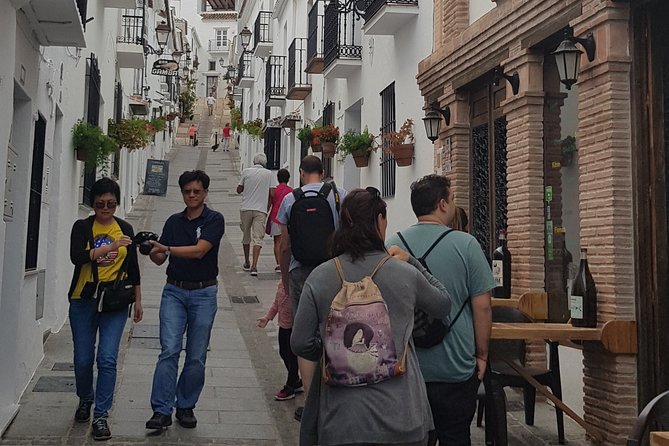 Malaga private Shore Excursion: Malaga Highlights & Mijas White Washed Village - Logistics and Vehicle Comfort