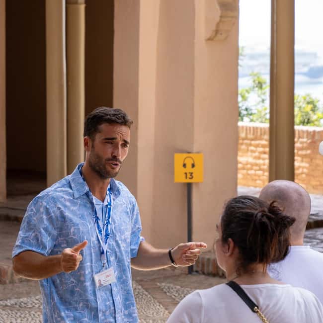 Málaga Private Walking Tour, Roman Theater, and Alcazaba with Tickets - Art and History at the Picasso Museum