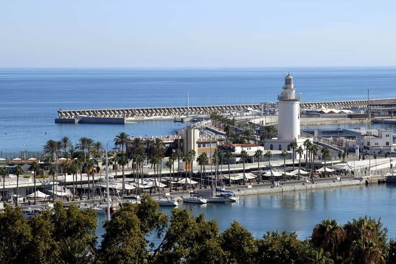 Malaga: Private Walking Tour with Official Guide - The Port and Local Lifestyle Highlights