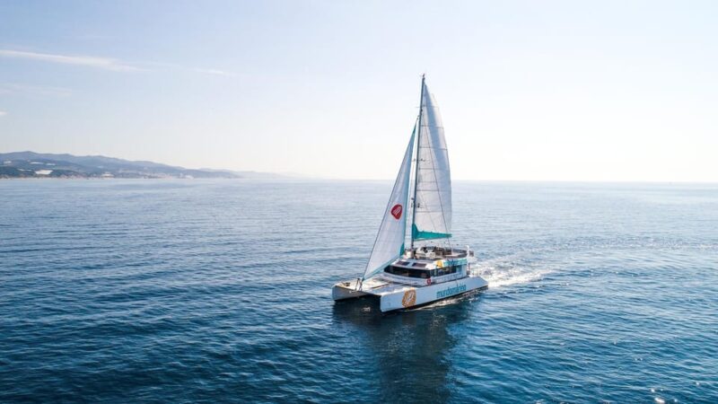 Malaga: Sailing Catamaran with Swimming and Paella Lunch - Key Points