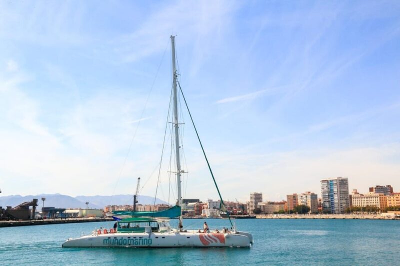 Malaga: Sailing Catamaran with Swimming and Paella Lunch - The Crew and Onboard Atmosphere