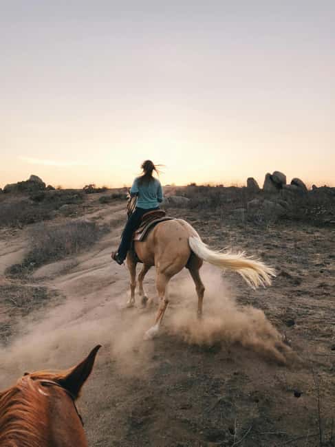 Malaga, Spain: 6-Hour Horseback Adventure with Picnic - Key Points