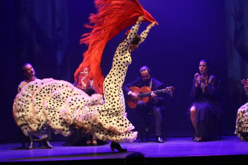 Malaga: Teatro Flamenco Malaga Live Flamenco Show - Malaga’s Flamenco Scene Comes Alive at Teatro Flamenco Malaga