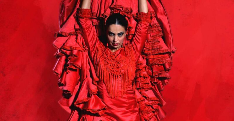 Malaga: Teatro Flamenco Malaga Live Flamenco Show - What to Expect During the Flamenco Performance
