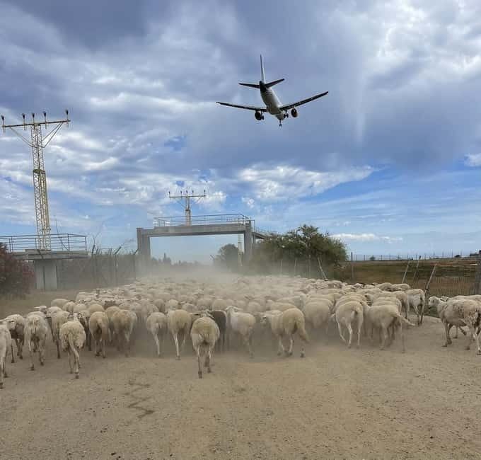 Málaga: Tour 2-Hours Solo All-Terrain Quad Adventure - Route and Stops: Scenic Highlights and Wildlife Encounters