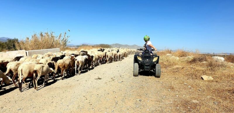 Málaga: Tour Off-Road 1-Hour Solo All-Terrain Quad Adventure - Limitations and Considerations