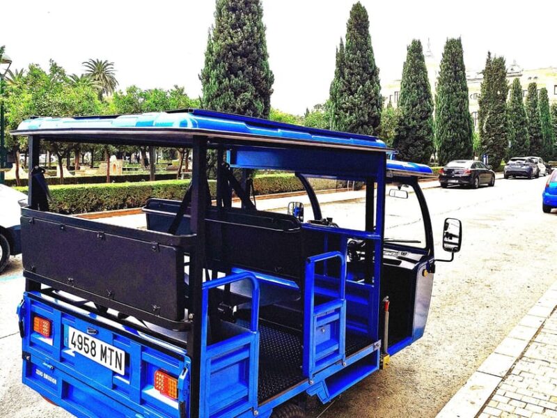 Malaga: Tuk tuk tour - Key Points
