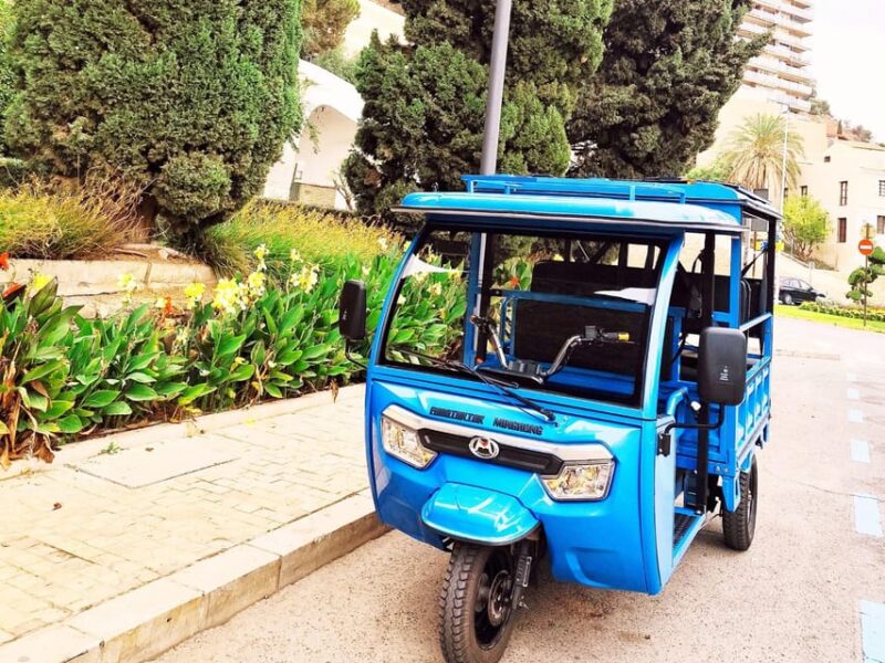 Malaga: Tuk tuk tour - Scenic Views and Photo Opportunities at Key Stops