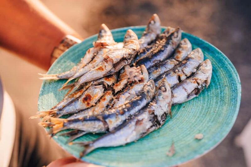 Málaga: Tuktuk Tour with Views and Espeto de Sardinas - Scenic Road Along Malaga’s Coast and Hills