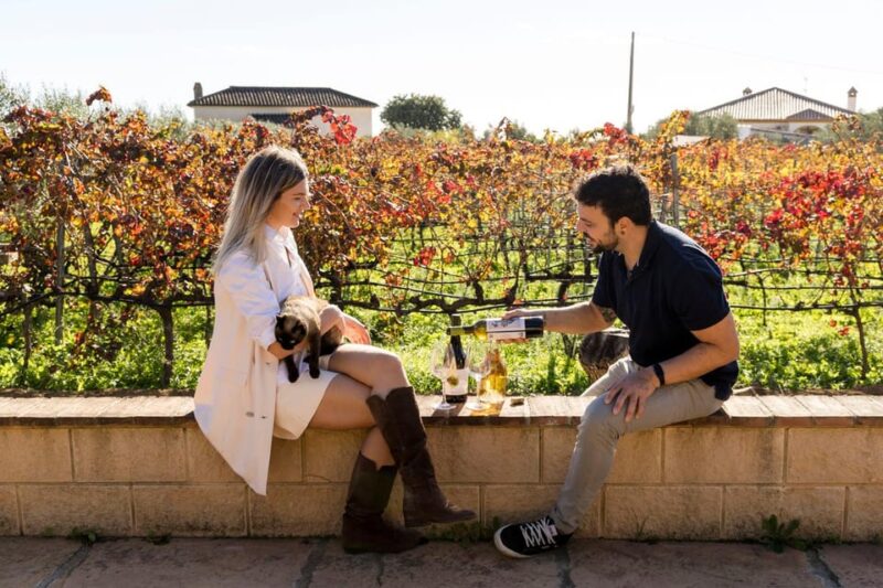 Malaga: Vineyard and Cellar Visit with 6 Top Wines and tapas - Tasting Six Exclusive Organic Wines