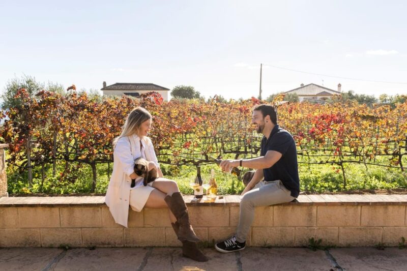 Malaga: Vineyard and Cellar Visit with 6 Top Wines and tapas - Learning About Organic Cultivation and Winemaking