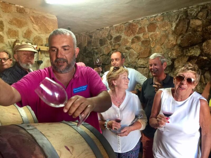 Malaga: Vineyard and Cellar Visit with 6 Top Wines and tapas - Who Will Appreciate This Tour Most