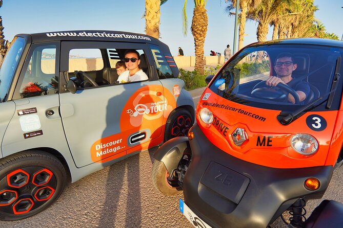 Málaga VIP Tour by Electric Car  Private 5-Hour Experience - Key Points