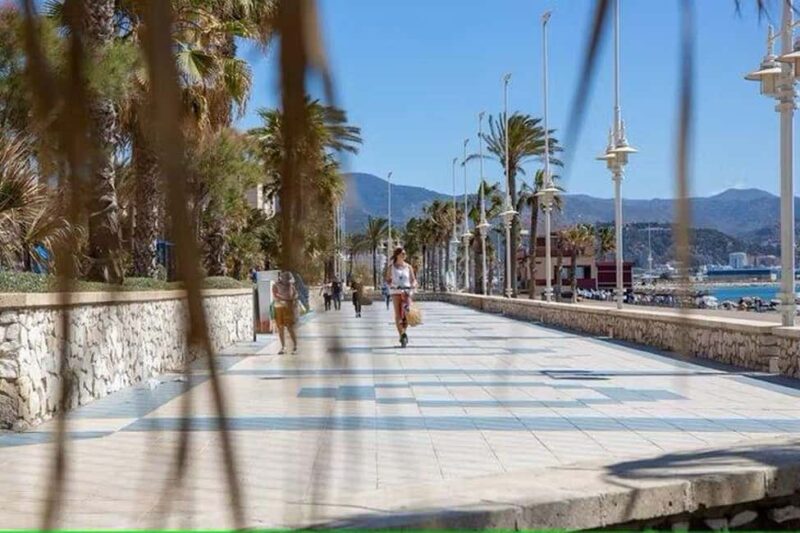 Malaga Walking Tour with Gibralfaro Castle & Alcazaba Visits - Discovering Gibralfaro Castle and Its Panoramas