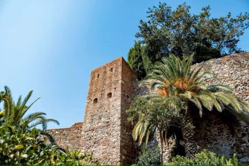 Malaga Walking Tour with Gibralfaro Castle & Alcazaba Visits - Why Choose This Tour in Malaga