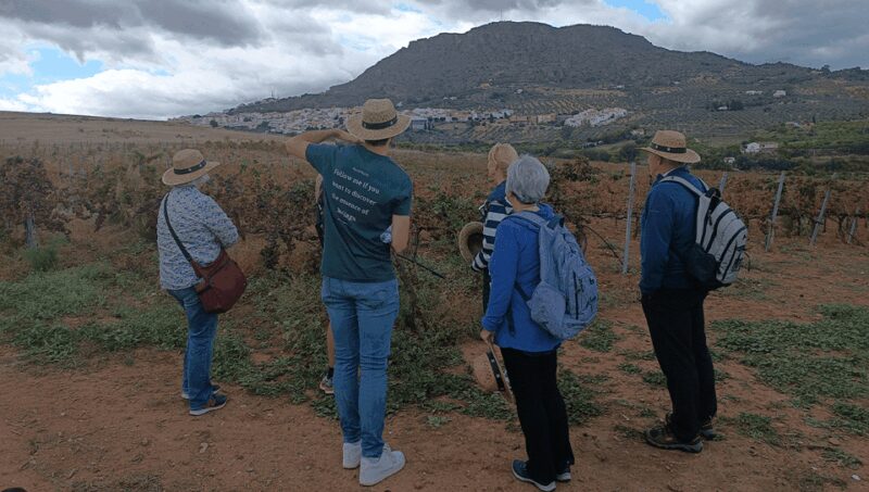 Malaga: White Village, Vineyard, and Wine Tasting Wine Tour - The Guide: Ramón’s Personal Touch