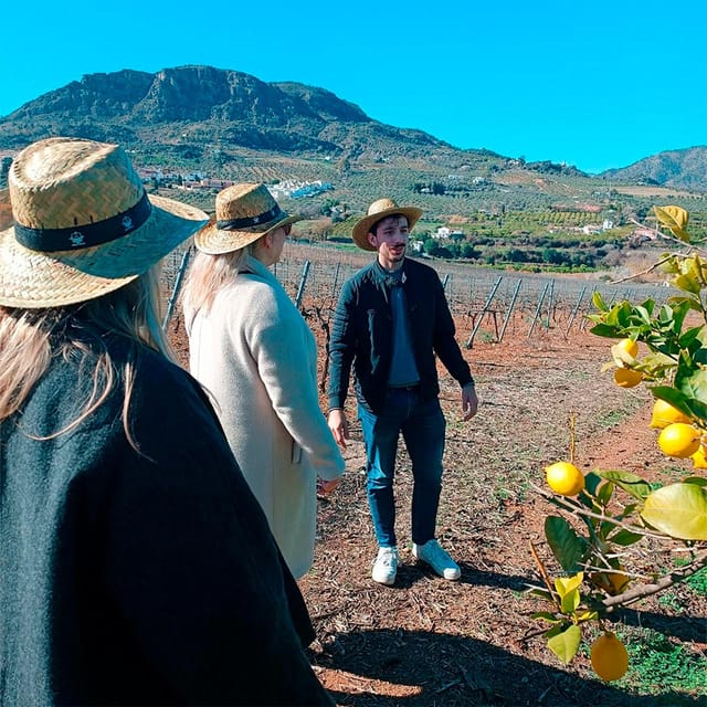 Malaga: White Village, Vineyard, and Wine Tasting Wine Tour - Why This Tour Is a Great Choice for Certain Travelers