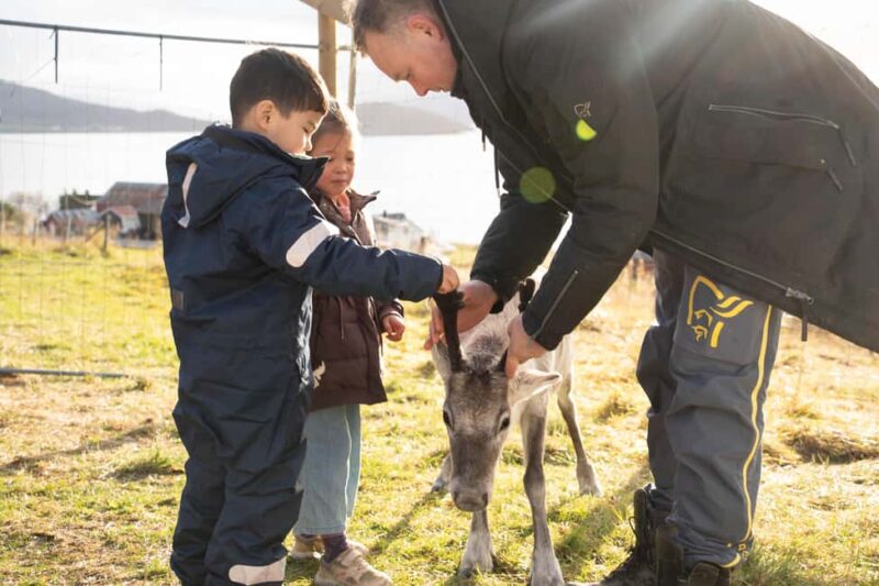 Malangen Sami Camp and Reindeer Experience with Lunch - Practical Details: Meeting Point and Schedule