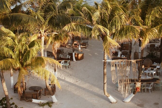 MALECON21 Costa Maya GOLD BEACH BREAK DAY PASS - The Atmosphere and Service Style at Malecón21