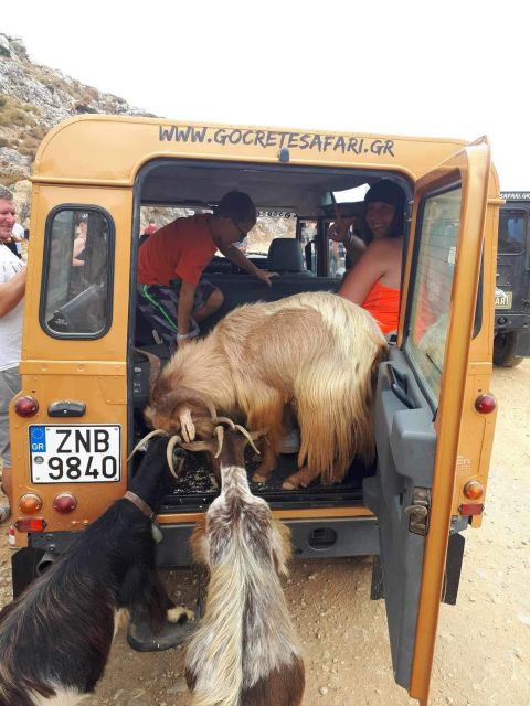 MALIA: East Crete Famous Places (Family and Child Friendly) - The Value of This Crete Day Trip