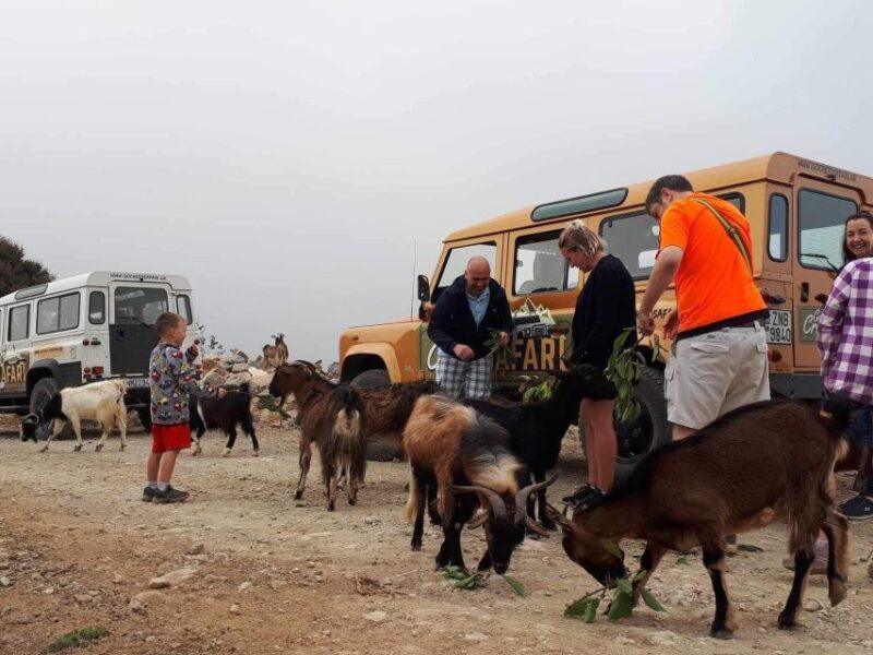 MALIA: Land rover Safari Lasithi Plateau and Zeus Cave - Visiting Zeus Cave: Mythology and Cave Exploration