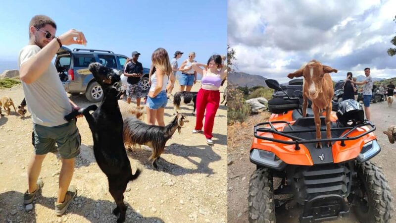 Malia: Off-Road Quad Safari Tour with Lunch and Transfers - Malia: Off-Road Quad Safari Tour with Lunch and Transfers