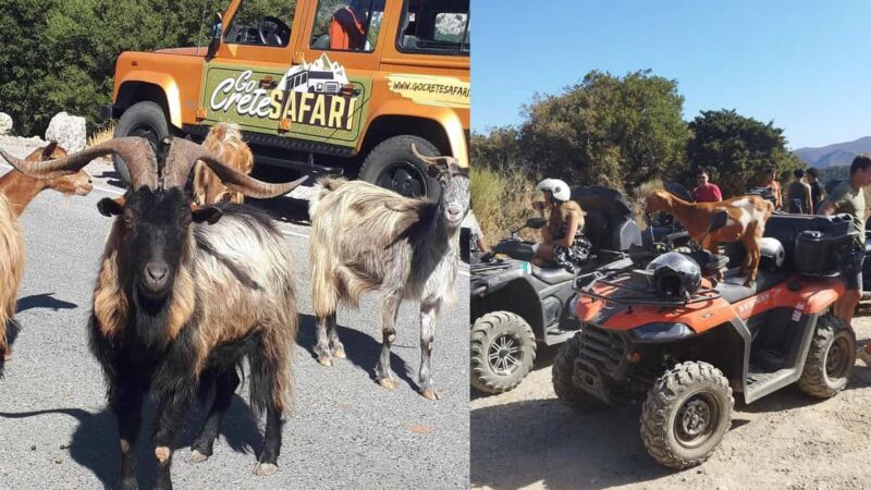 Malia: Off-Road Quad Safari Tour with Lunch and Transfers - Key Points