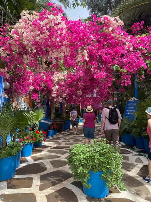 Malia: Sissi and Beyond Tuk Tuk Tour with Raki and Honey - Scenic Drive Along Stalis Beach Road