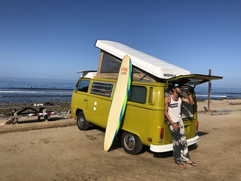 Malibu Beach: Surf Tour in a Vintage VW Van - Wildlife Spotting and Coastal Views
