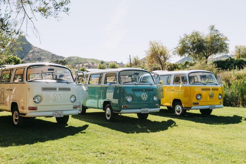 Malibu: Vintage VW Bus and Vineyard Tour - What Makes the Malibu Vintage VW Bus and Vineyard Tour Unique
