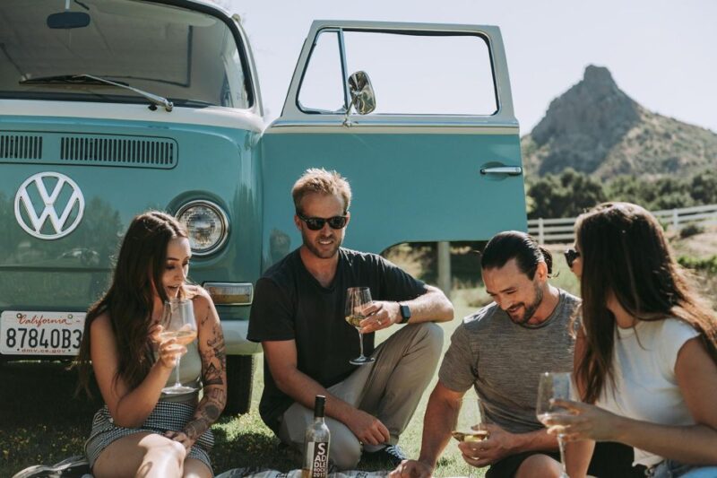 Malibu: Vintage VW Bus and Vineyard Tour - Wine Tasting and Snacks: Quality and Variety