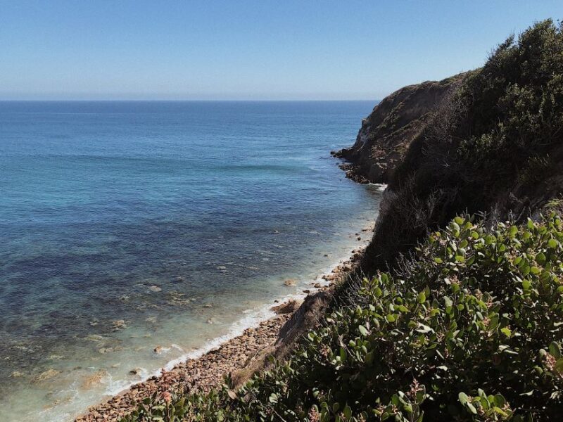 Malibu: Vintage VW Sightseeing Tour and Wine Tasting - Challenges and Considerations from Recent Reviews