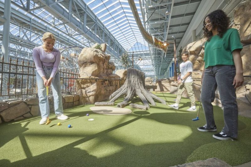Mall of America: Moose Mountain Adventure Golf Ticket - The Experience Provider and Customer Feedback