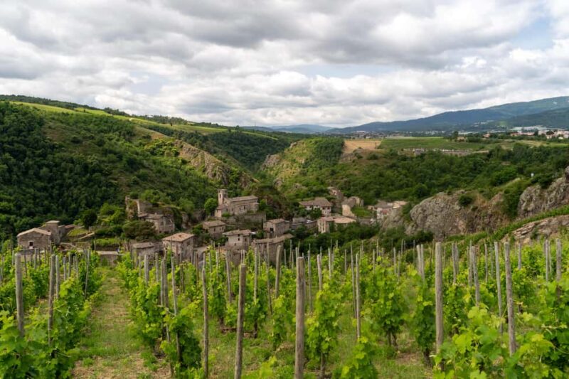 Malleval: Visit and Tasting with the P. Gaillard Family - Key Points