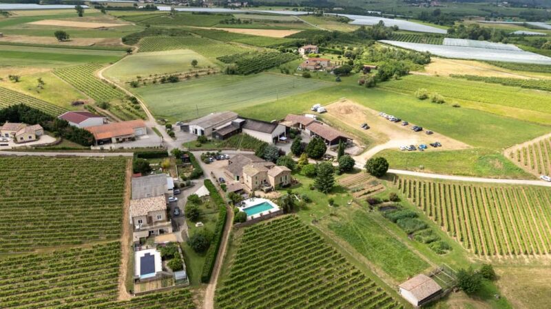 Malleval: Visit and Tasting with the P. Gaillard Family - Discover the Family Heritage at the P. Gaillard Estate in Malleval