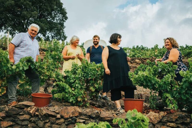 Malleval: Visit and Tasting with the P. Gaillard Family - Tasting the Rhône’s Finest Wines